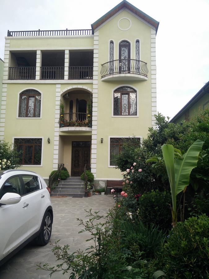 Hotel Mimino Tbilisi Exteriér fotografie